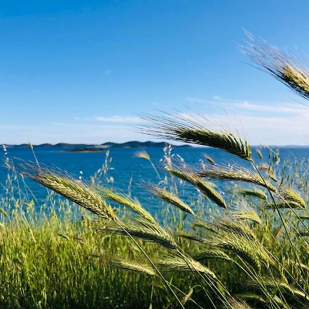 Ecobeachvilla Buqez 9 Pakoštane Екстериор снимка