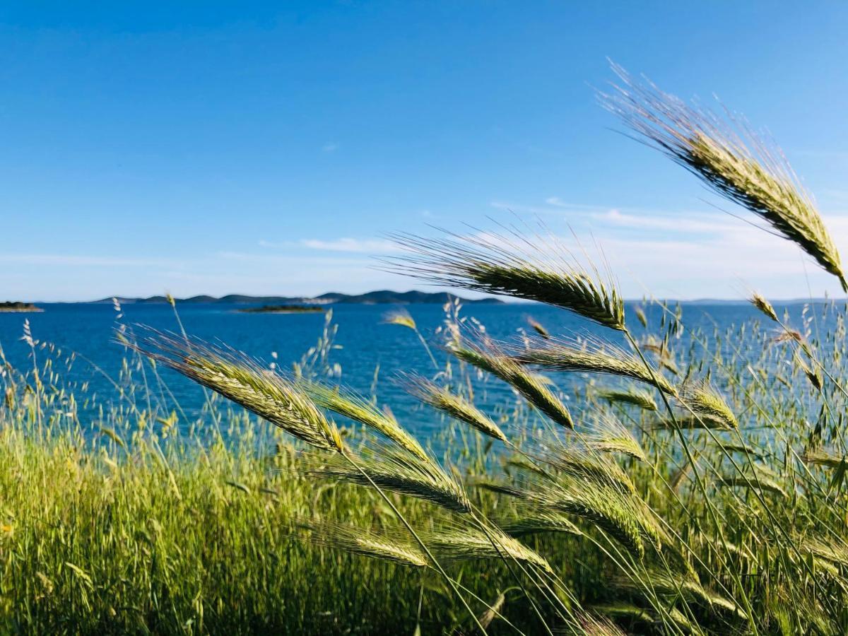 Ecobeachvilla Buqez 9 Pakoštane Екстериор снимка